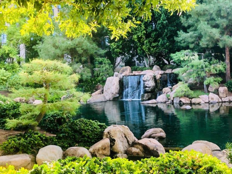 Waterfall and koi pond surrounded by green trees at the Japanese Friendship Garden